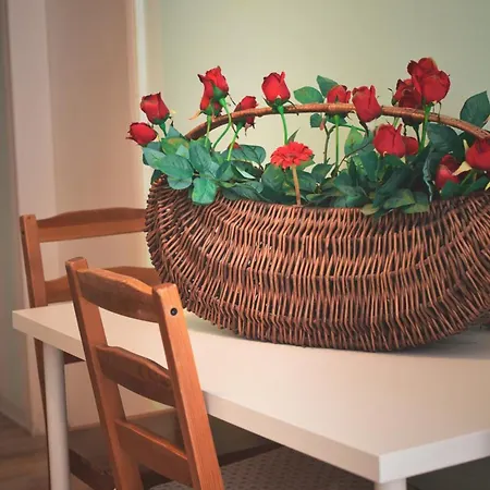 Barcolana 公寓 的里雅斯特